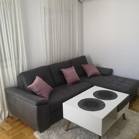 Appartement Jednosoban Stan Zoja à Podgorica Extérieur photo